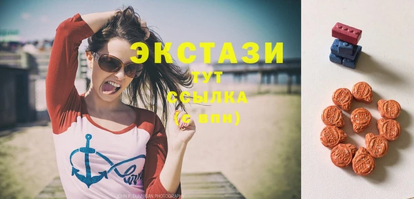 гидра Гусиноозёрск