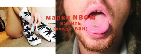 гидра Гусиноозёрск