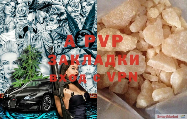 дмт Гусев
