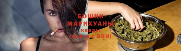 гидра Гусиноозёрск