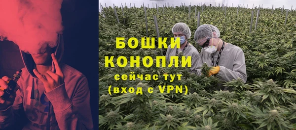 гидра Гусиноозёрск
