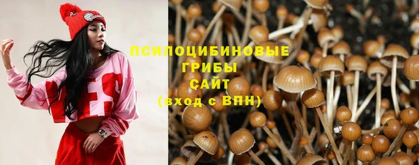 mdpv Гусь-Хрустальный