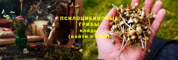 прущая мука Новодвинск