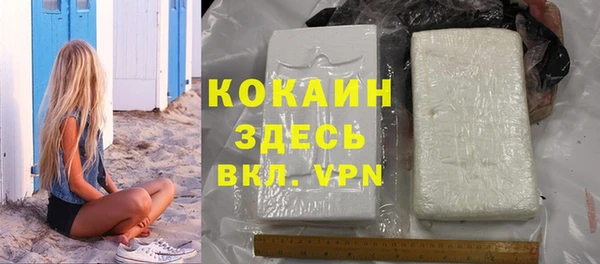 гидра Гусиноозёрск