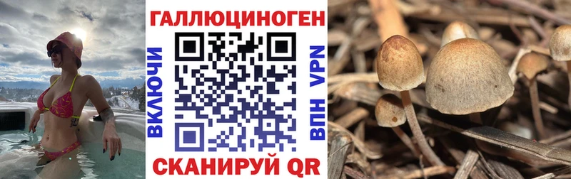 как найти   Джанкой  ссылка на мегу маркетплейс  Галлюциногенные грибы ЛСД 