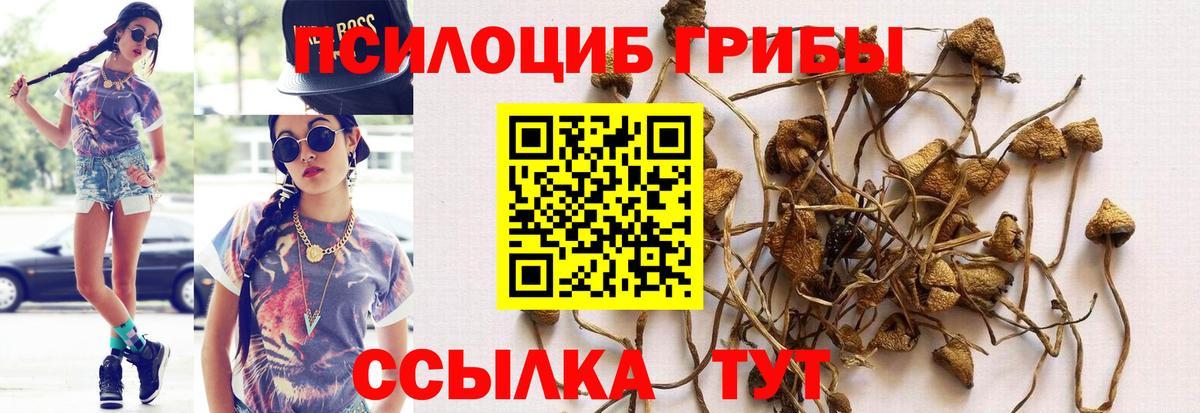 Псилоцибиновые грибы MAGIC MUSHROOMS Джанкой
